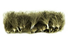 Selected CDC Quill & Fly 50 Pcs Dark ... Selected CDC Quill & Fly 50 Pcs Dark Natural