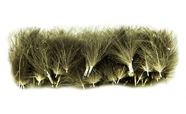 Selected CDC Quill & Fly 50 Pcs Dark Natural Selected CDC Quill & Fly 50 Pcs Dark Natural